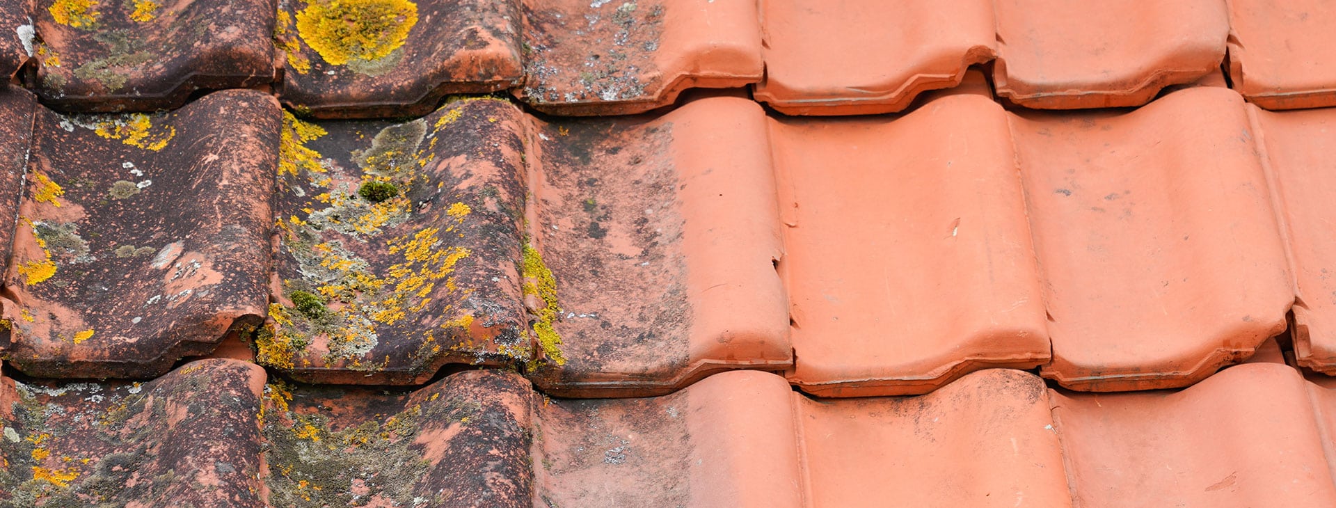 photo design de mon salon de massage