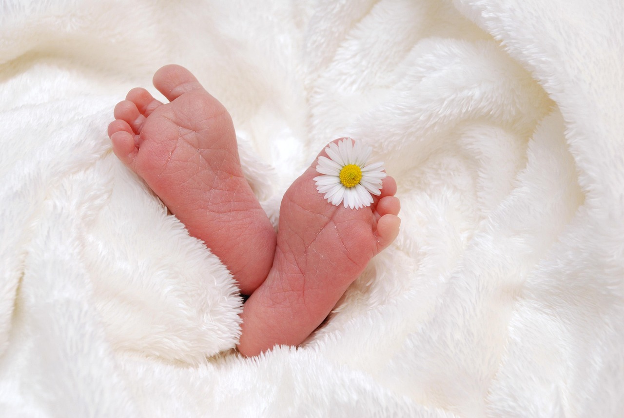 photo d'un bébé (image libre de droit)